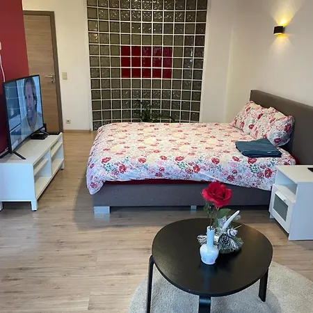 فندق مبيت وإفطار Groot-bijgaarden Center ديلبيك